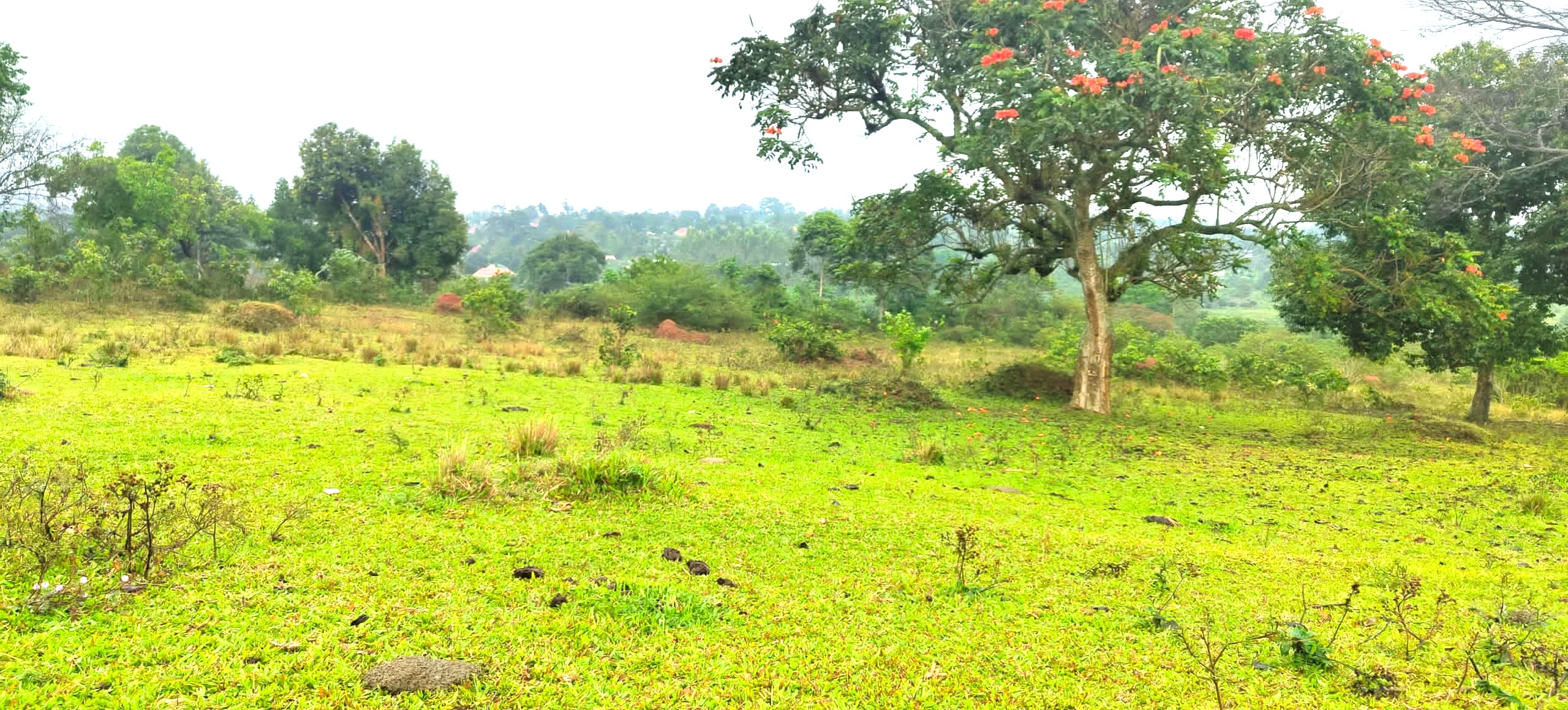 Nakisunga-Mukono — Affordable Land for Sale at Afredim Consults