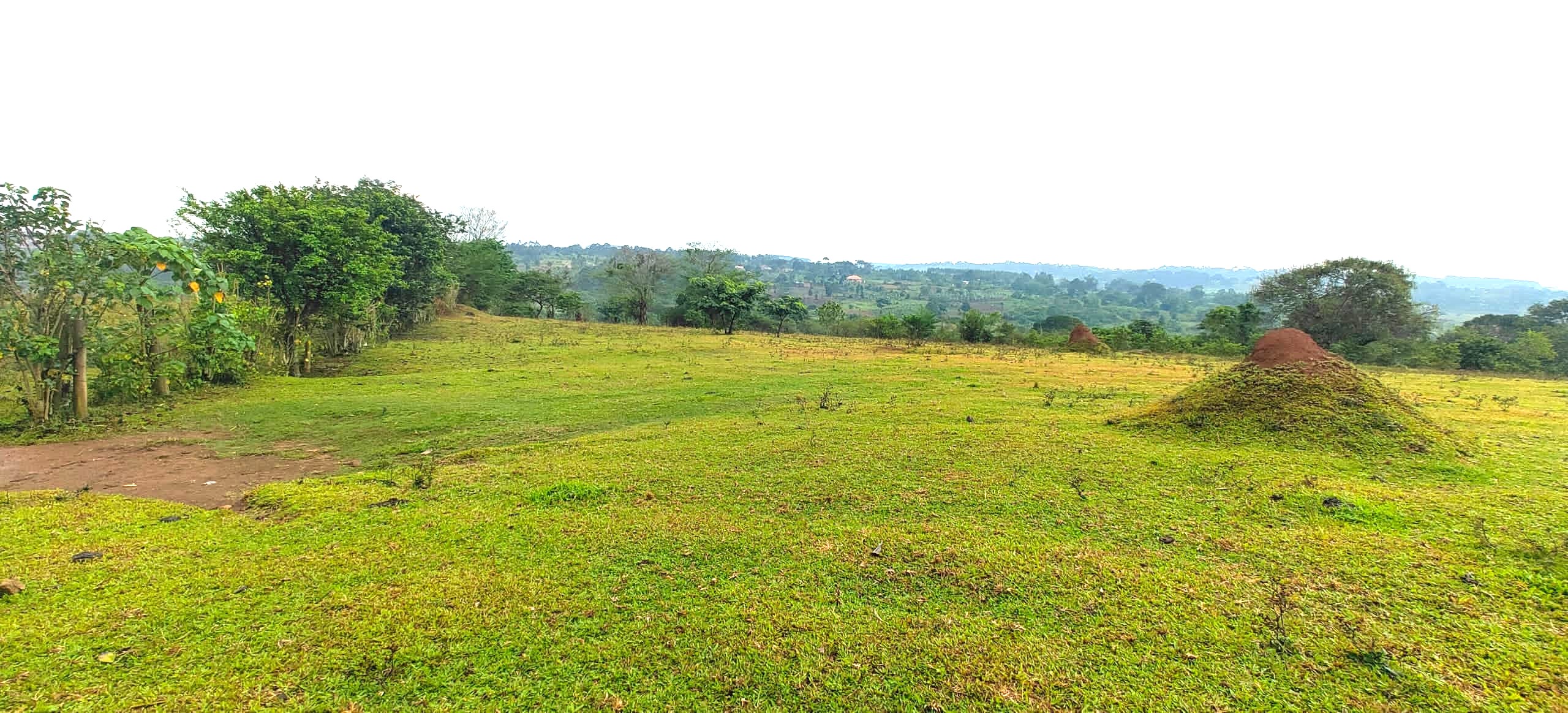 Nakisunga-Mukono — Affordable Land for Sale at Afredim Consults