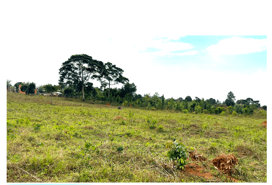 HAMA SERENITY ESTATES - BUVI — Affordable Land for Sale at Afredim Consults