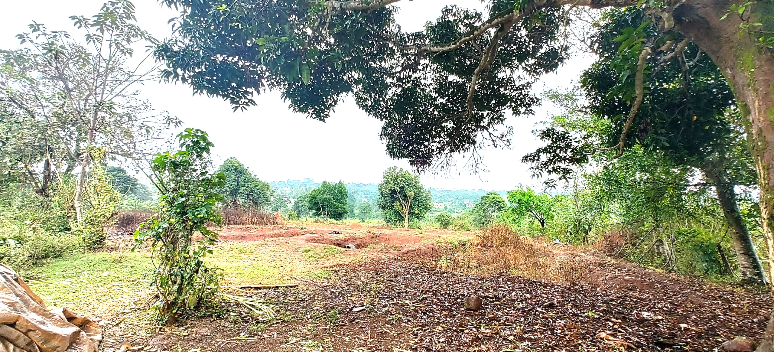 Nakisunga-Mukono — Affordable Land for Sale at Afredim Consults