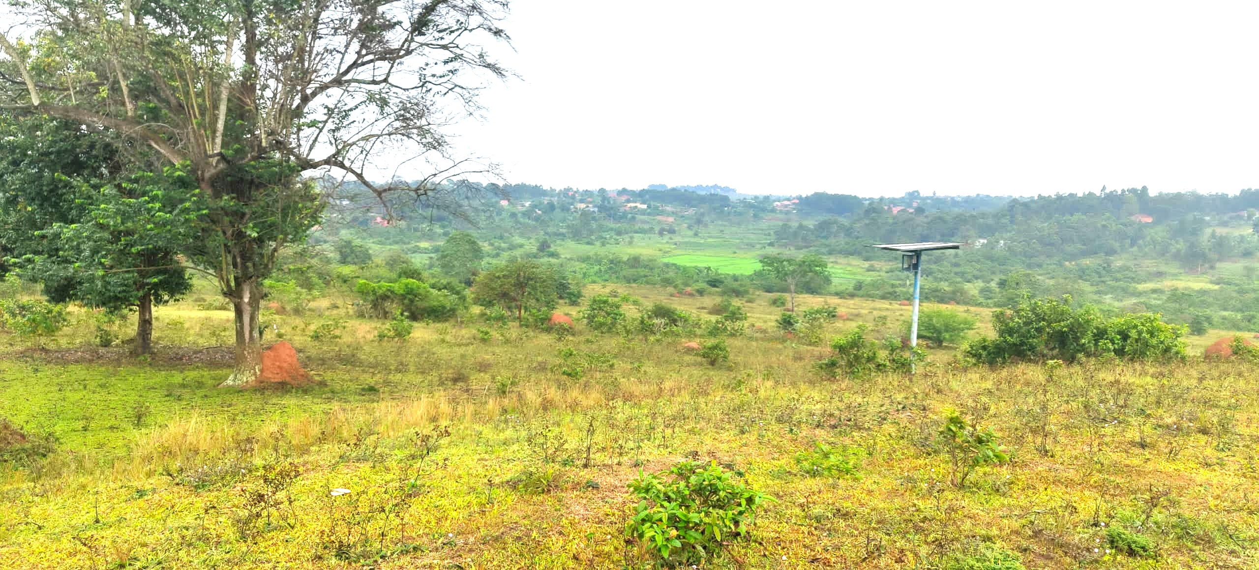 Nakisunga-Mukono — Affordable Land for Sale at Afredim Consults