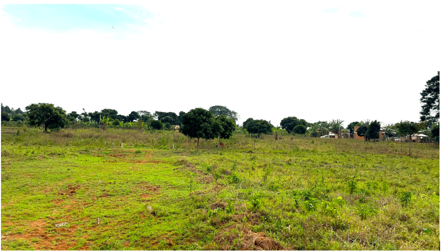 HAMA SERENITY ESTATES - BUVI — Affordable Land for Sale at Afredim Consults