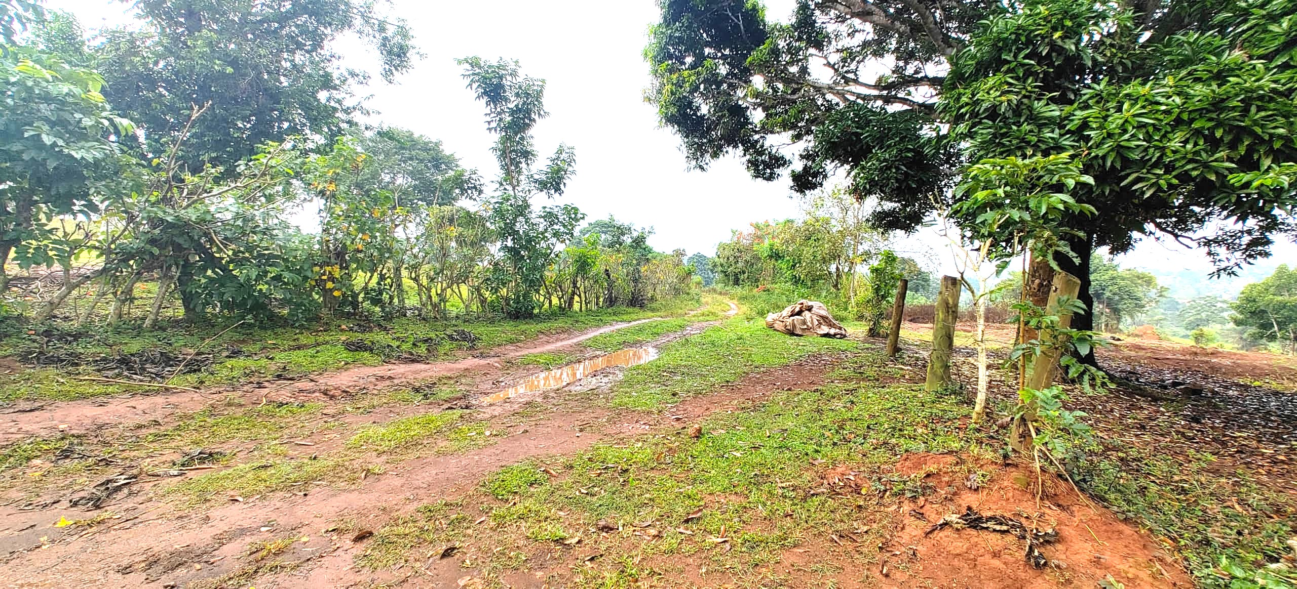 Nakisunga-Mukono — Affordable Land for Sale at Afredim Consults