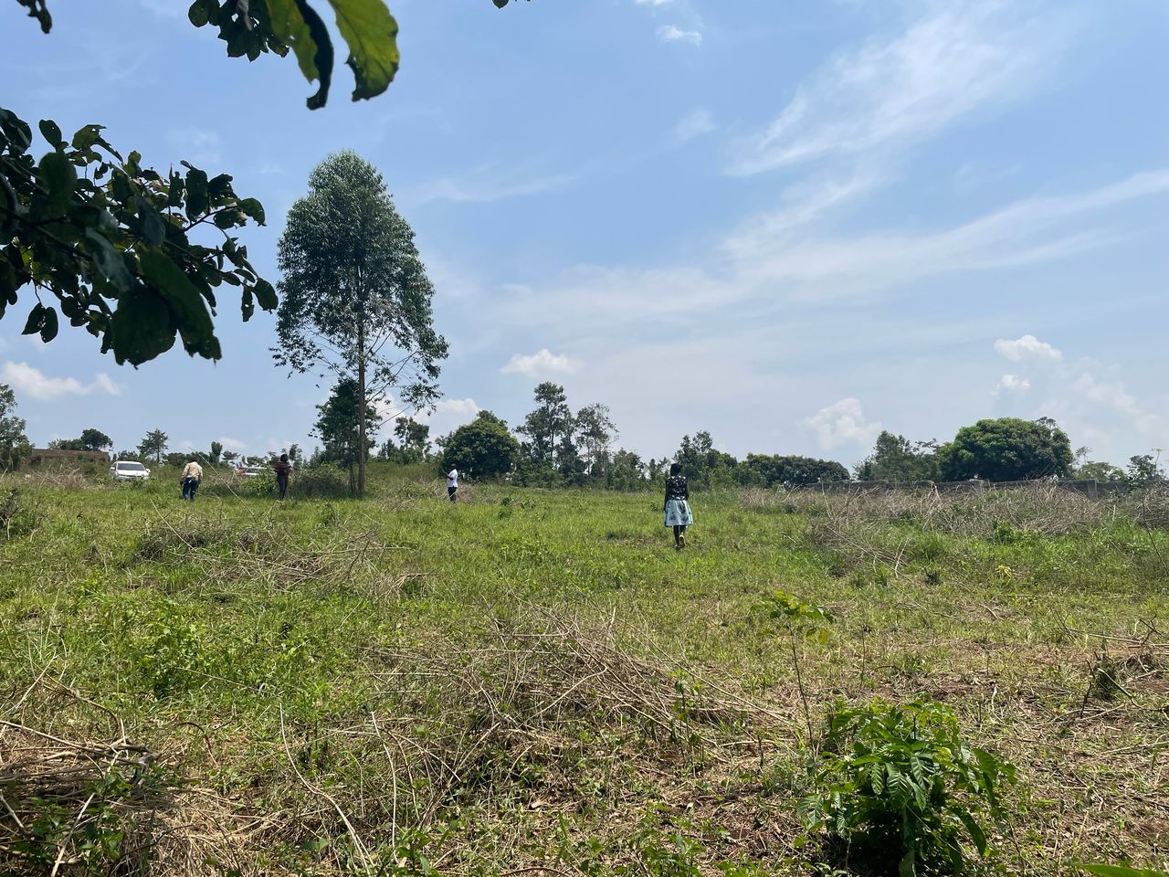 Gayaza-Kiwenda Yaket Estate — Affordable Land for Sale at Afredim Consults