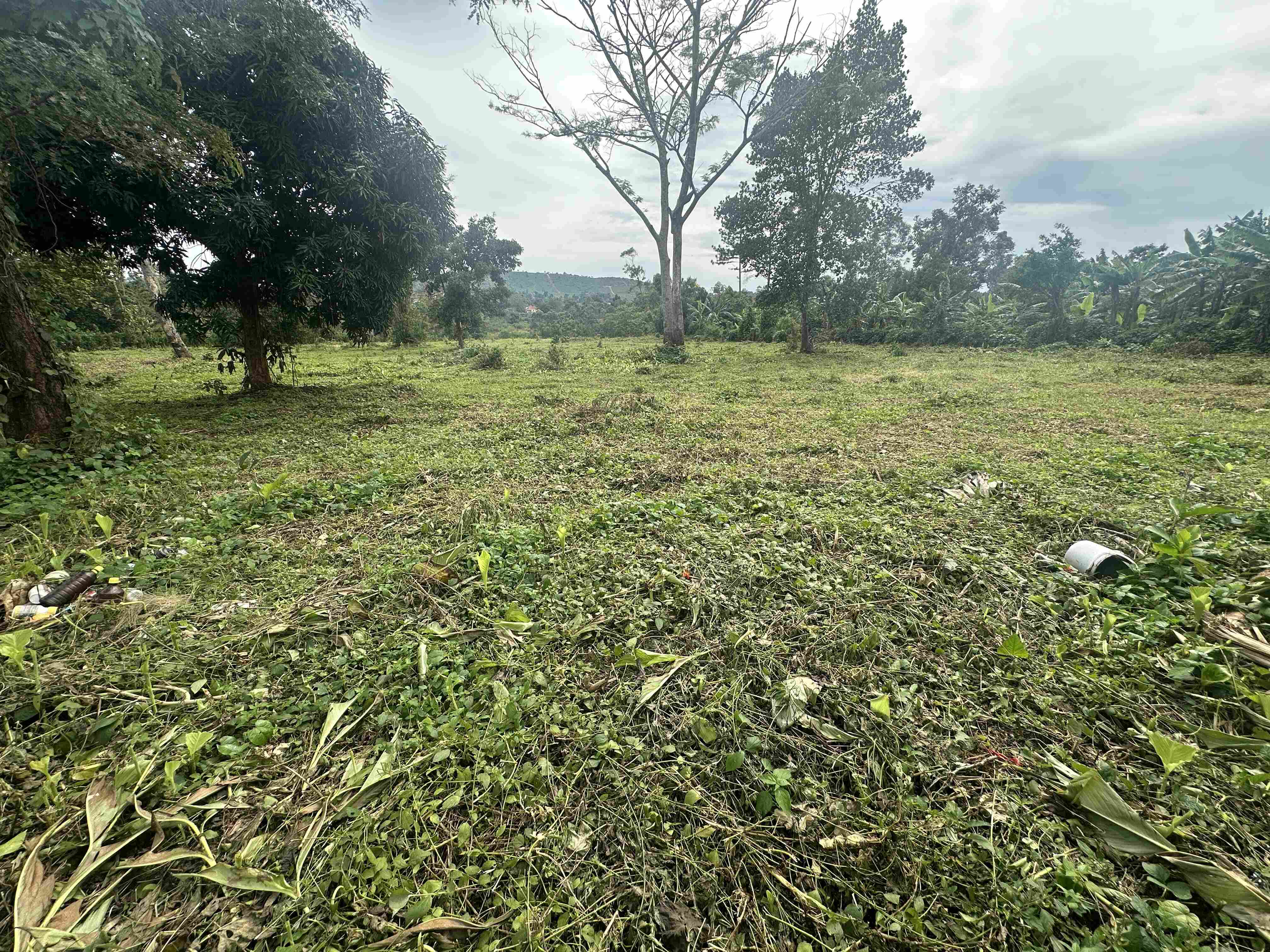 HAMA SERENITY ESTATES - BUGEMA — Affordable Land for Sale at Afredim Consults