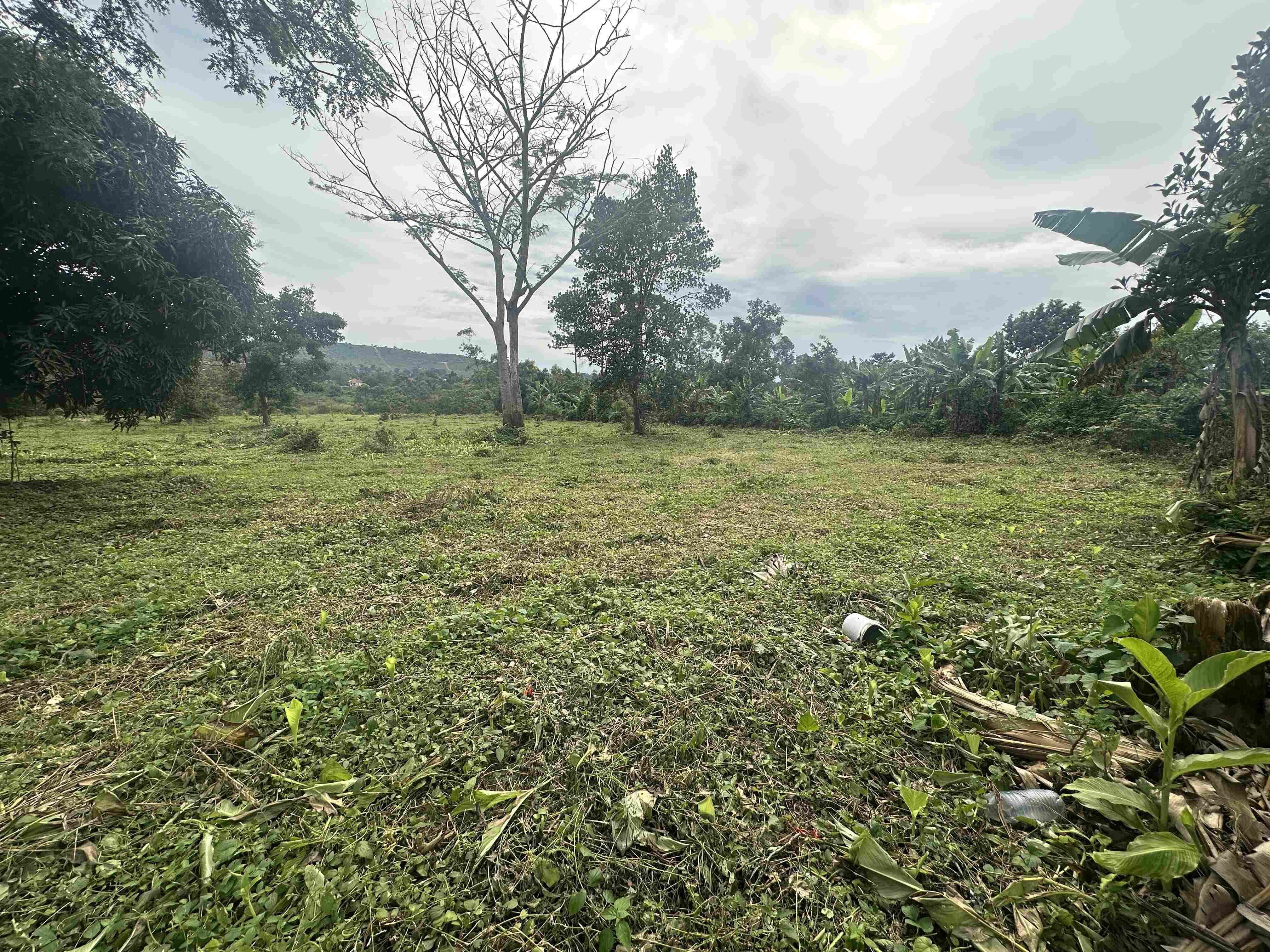 HAMA SERENITY ESTATES - BUGEMA — Affordable Land for Sale at Afredim Consults