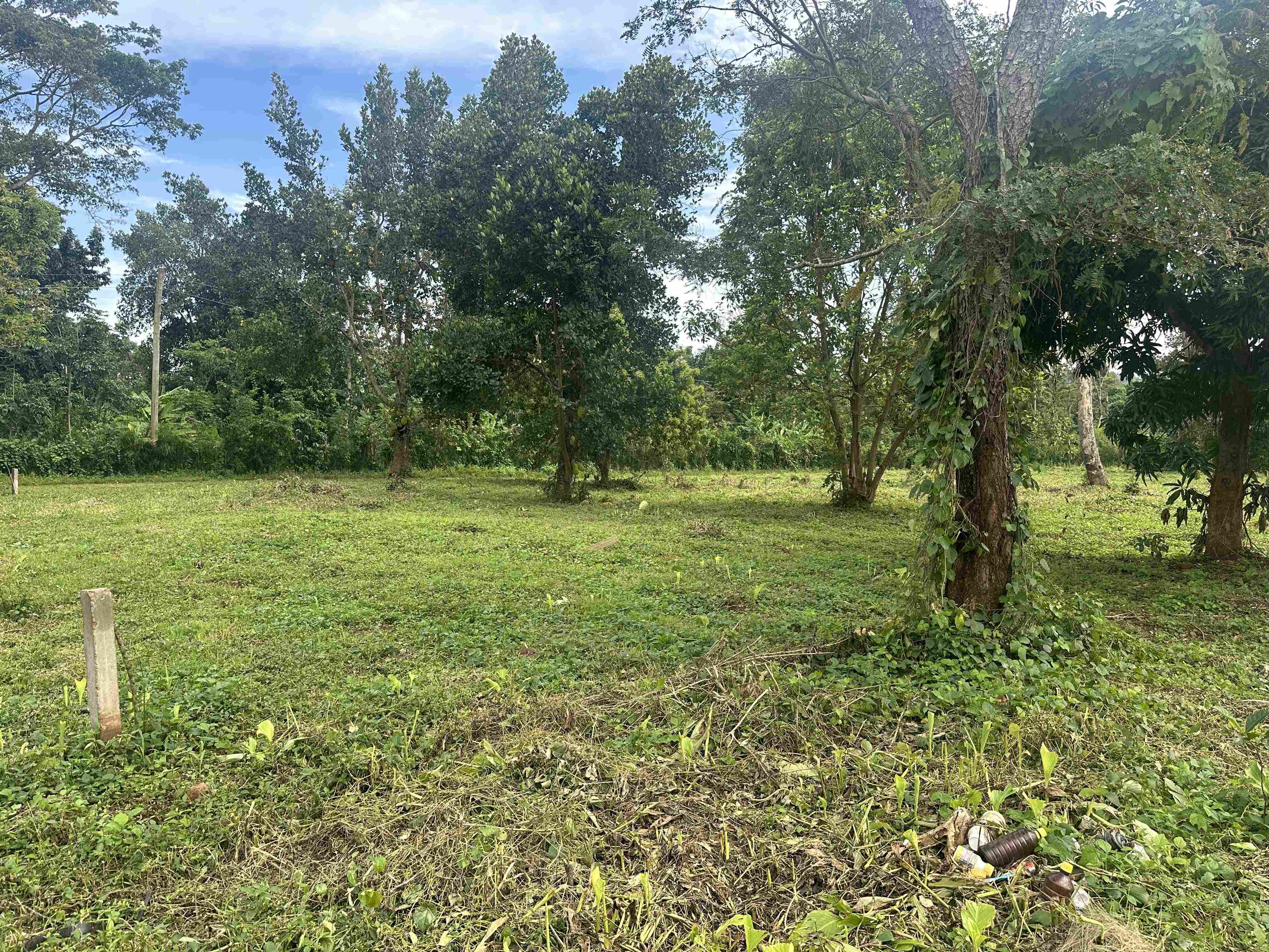 HAMA SERENITY ESTATES - BUGEMA — Affordable Land for Sale at Afredim Consults