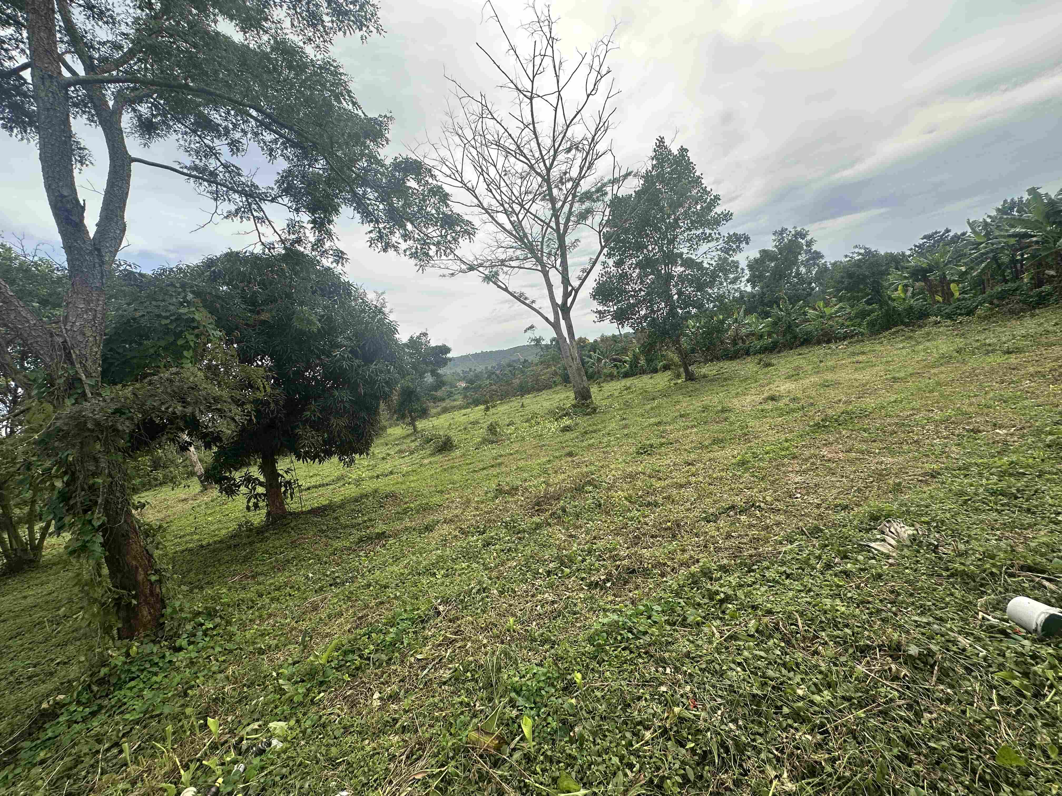 HAMA SERENITY ESTATES - BUGEMA — Affordable Land for Sale at Afredim Consults